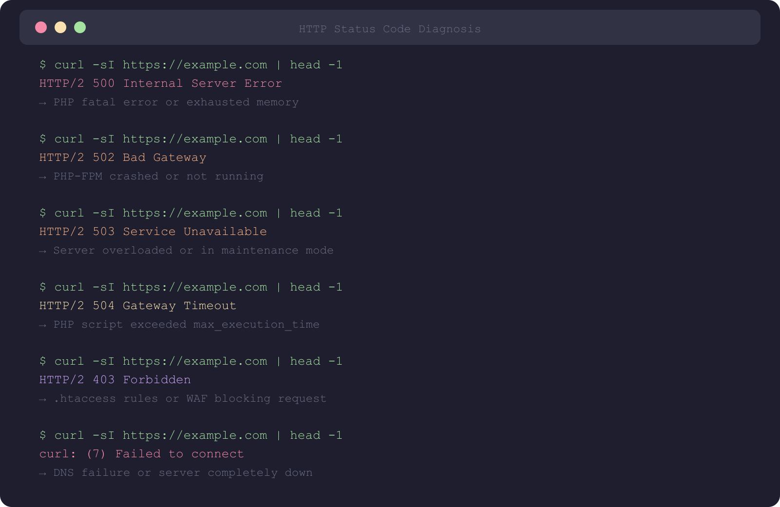 Terminal showing curl commands with different HTTP status codes and their meanings