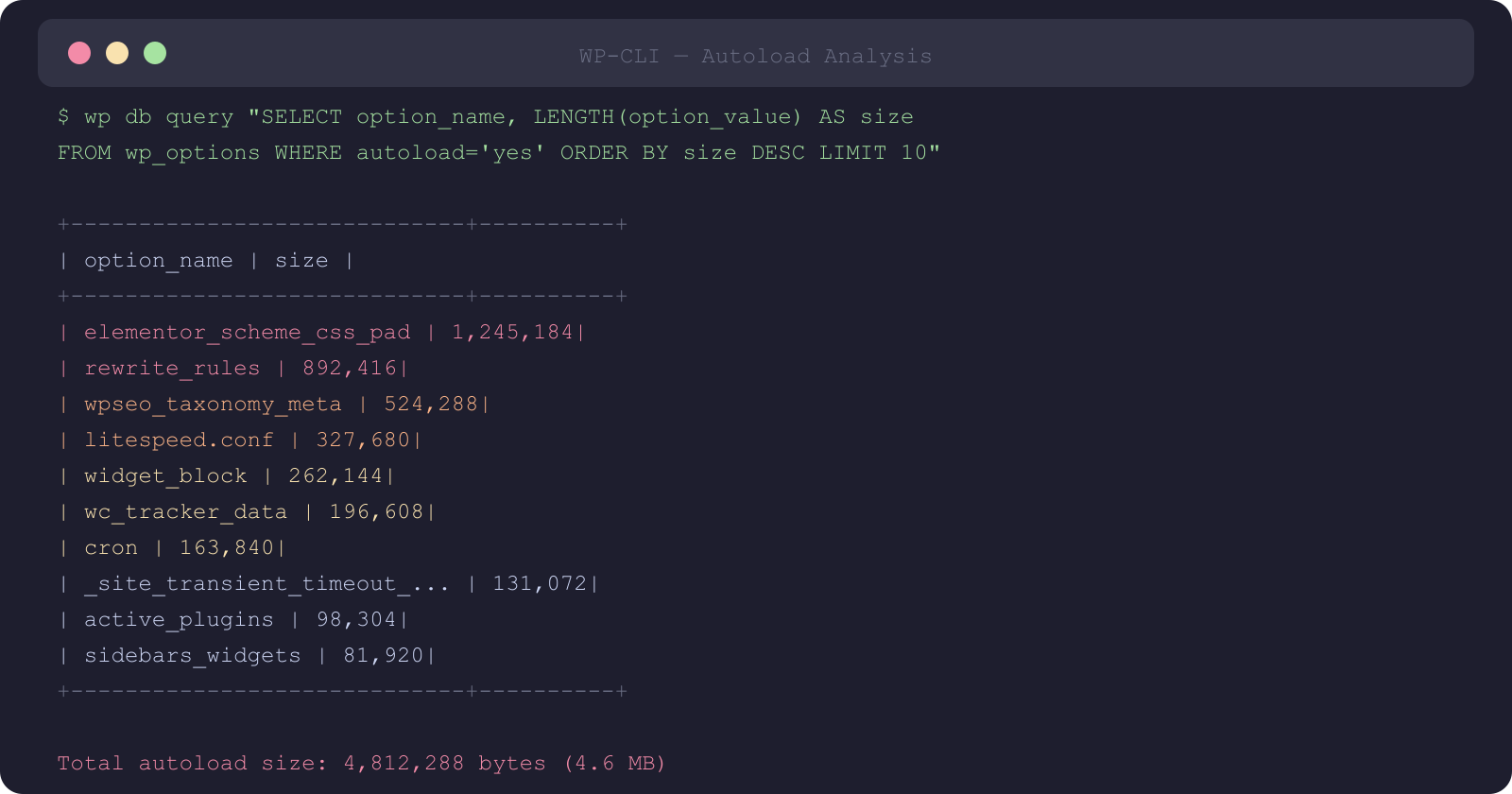 Terminal showing autoload query results with option sizes - elementor at 1.2MB leads the list