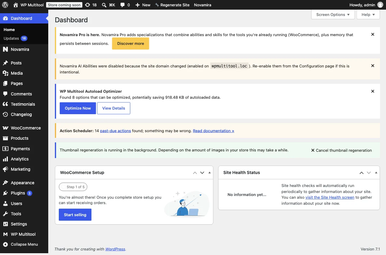 Novamira's domain lock notice after the site was cloned to a new hostname
